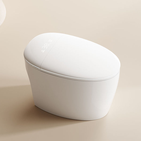 ENXA-N3 Smart Toilet